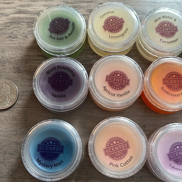 Scentsy mini sample testers + sample bags - Picture 3 of 12